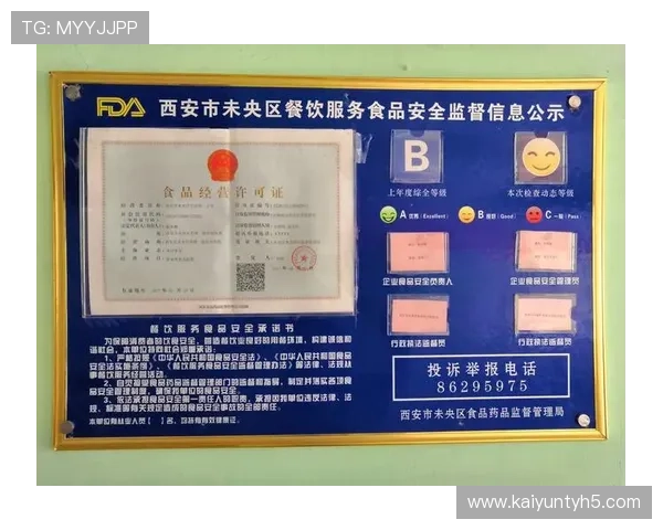 开云综合app登录安全验证措施全面介绍保障账户安全 开云综合app登录安全验证措施全面介绍保障账户安全