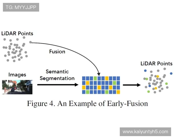 开云体盲：开云体盲的成因分析与科学解释