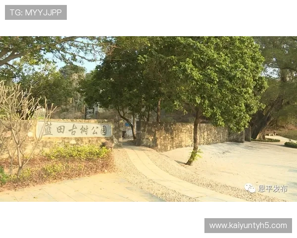 开云体育在线登入常见问题解答,解决登录过程中遇到的各种技术难题与操作困扰 开云体育在线登入常见问题解答,解决登录过程中遇到的各种技术难题与操作困扰