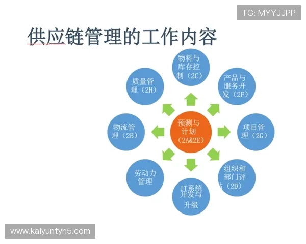 如何安全高效地使用开云体育登录界面，保障个人信息和账号安全